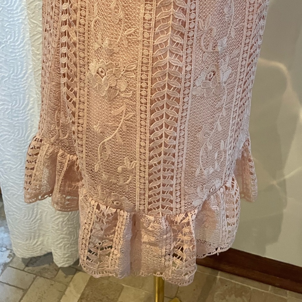 BB Dakota Sheri Pink Lace Sleeveless Dress NWT Medium - Picture 7 of 7